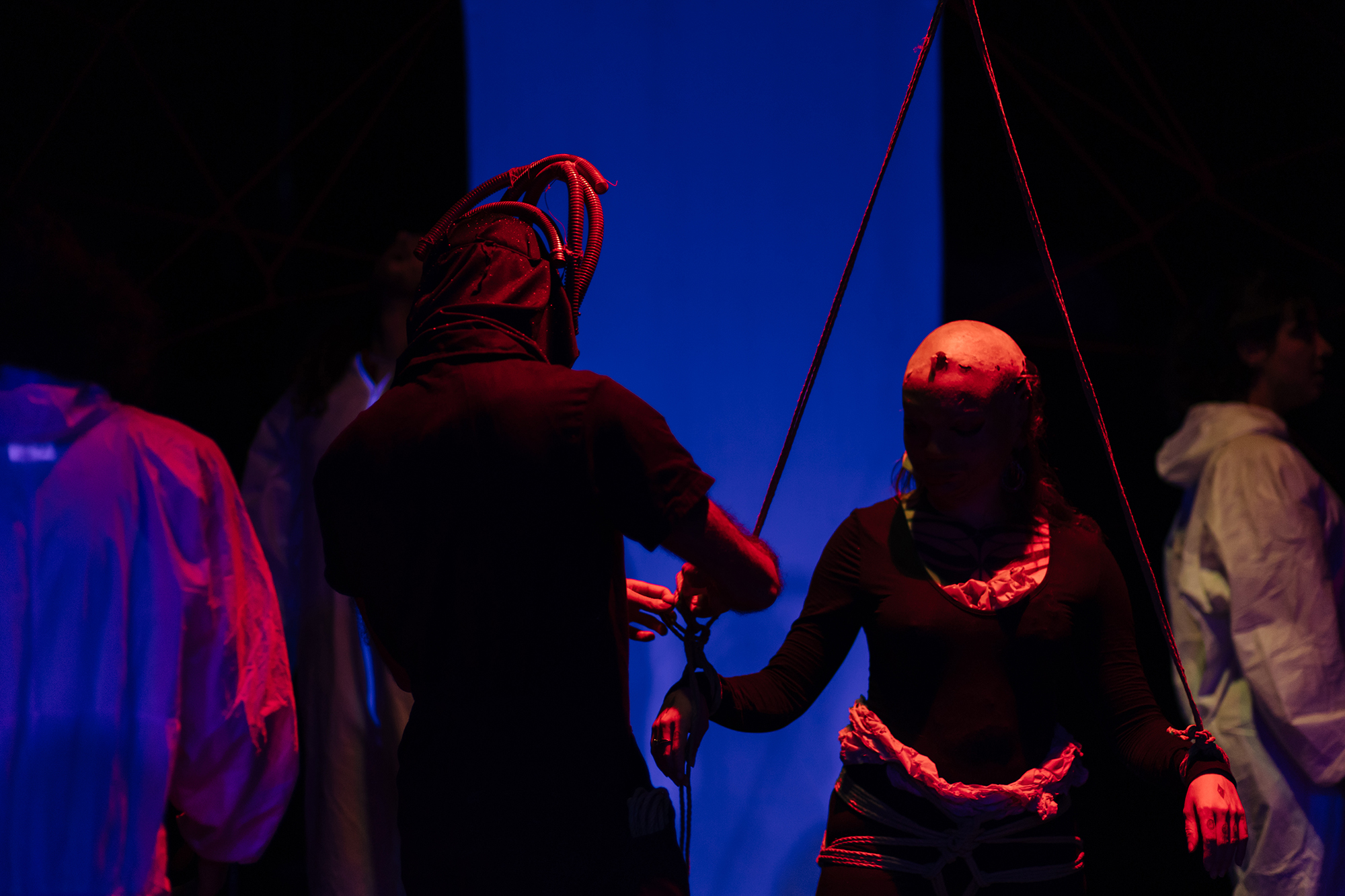 Teias Desconexas Stage performance — shibari stage performance by MAVRA (Luiza Jesus do Prado), photo 6