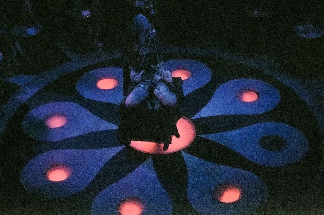 Love Shibari performance — shibari stage performance by MAVRA (Luiza Jesus do Prado), photo 6