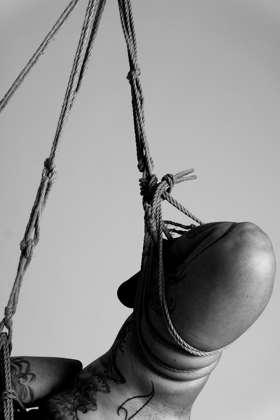 Shibari Model Studio sessions — shibari performance by MAVRA (Luiza Jesus do Prado), photo 2