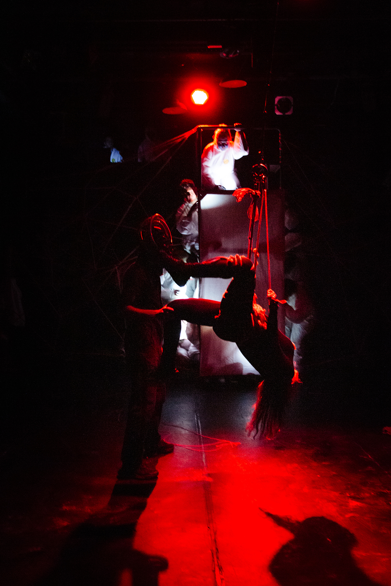 Teias Desconexas Stage performance — shibari stage performance by MAVRA (Luiza Jesus do Prado), photo 11