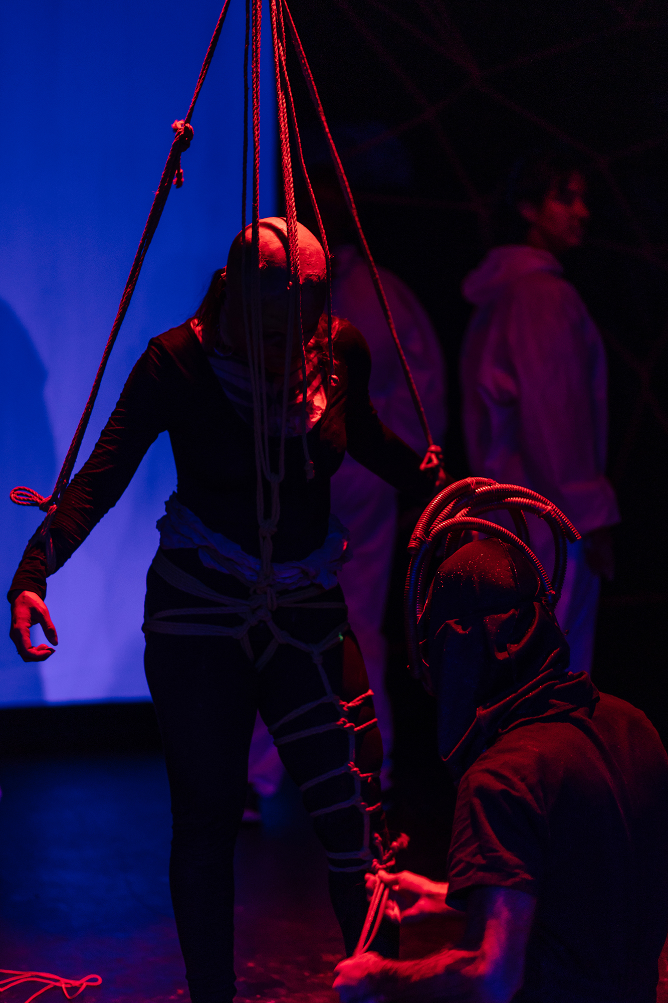 Teias Desconexas Stage performance — shibari stage performance by MAVRA (Luiza Jesus do Prado), photo 5