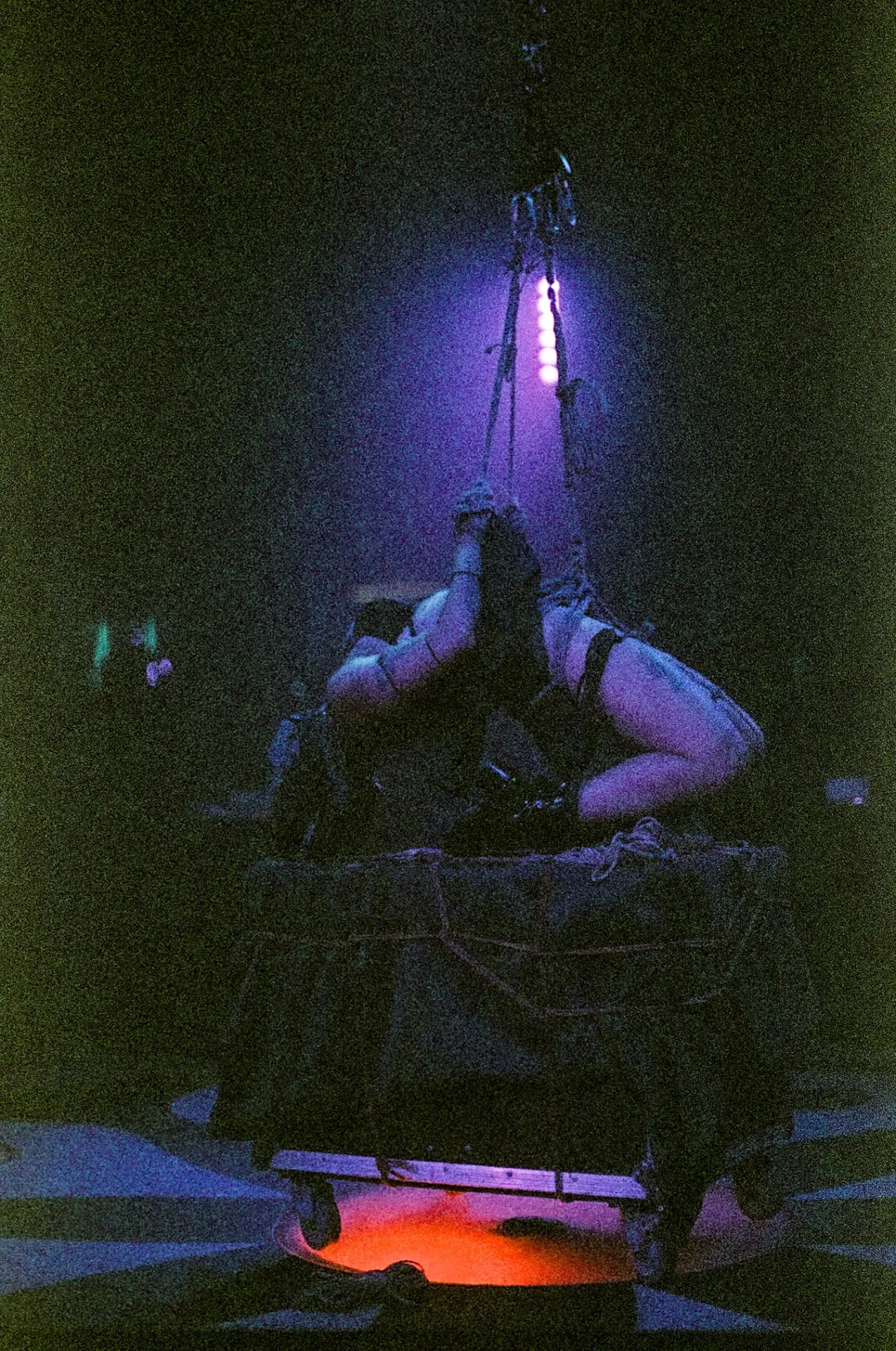 Love Shibari performance — shibari stage performance by MAVRA (Luiza Jesus do Prado), photo 4